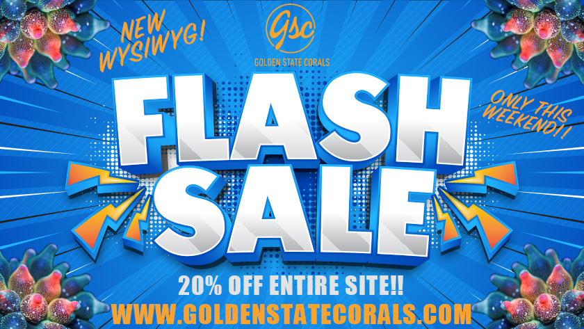 FLASH SALE.jpg