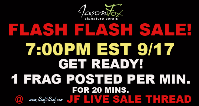 FLASH SALE.jpg