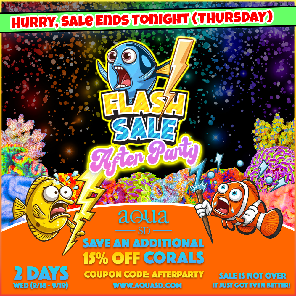 FlashSale-AP-LD.png