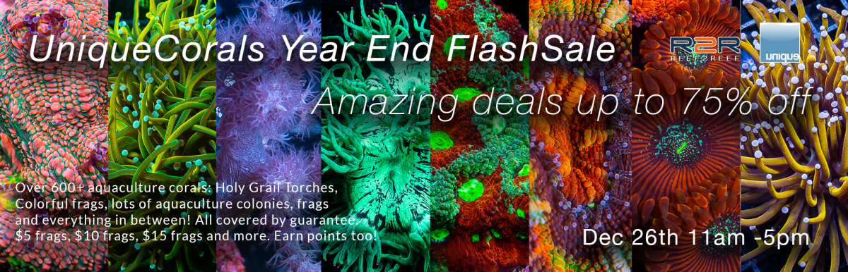 Flashsale Nov20-R2R-V2.png