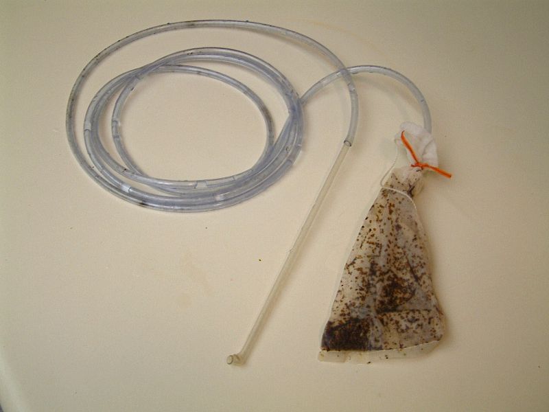 flatworm tube.jpg