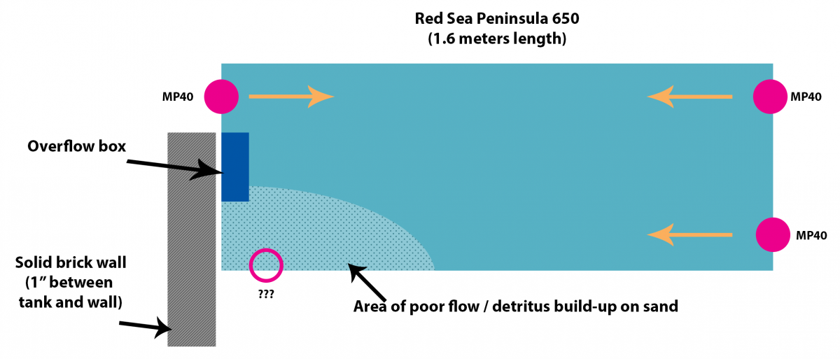 Flow Diagram.png