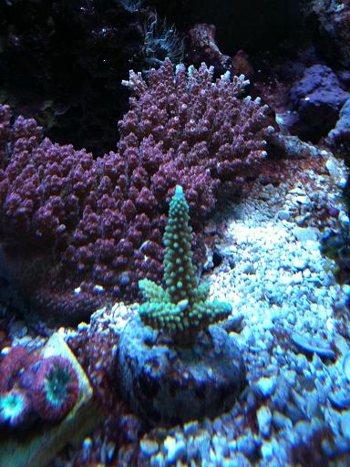 Frag Swap 2011 017.jpg