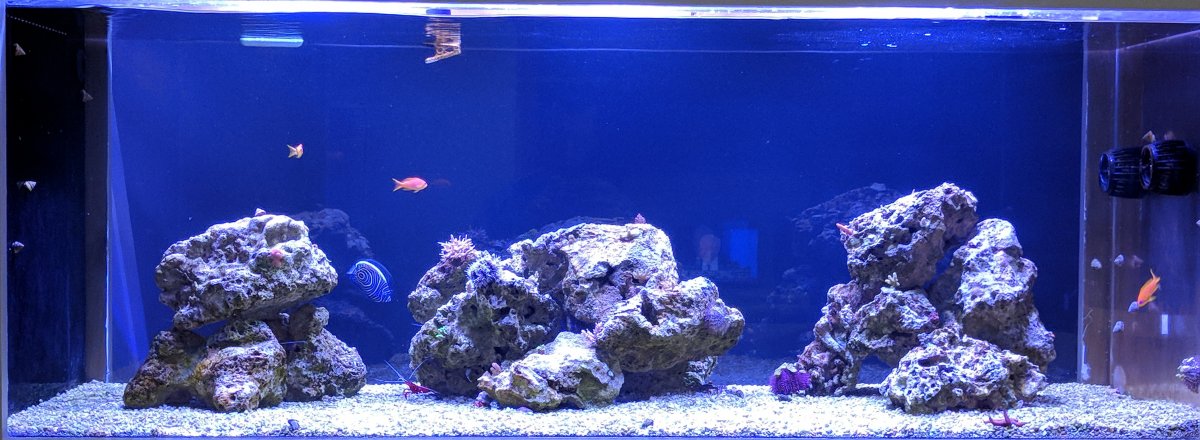 FTS 01.19.18.jpg