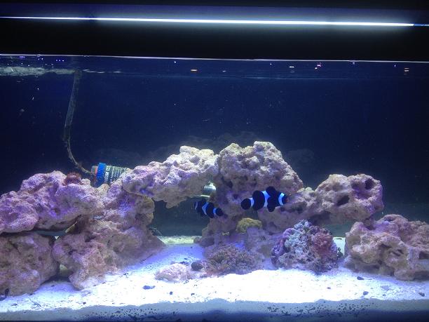 FTS 06-12.JPG