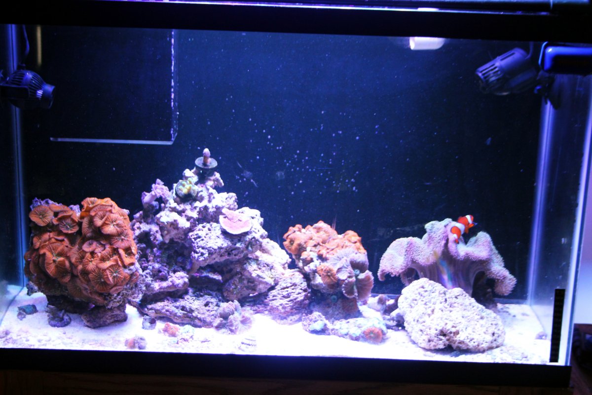 FTS 1-8-19.JPG