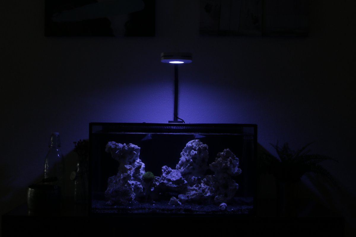 FTS 1 DARK.jpg