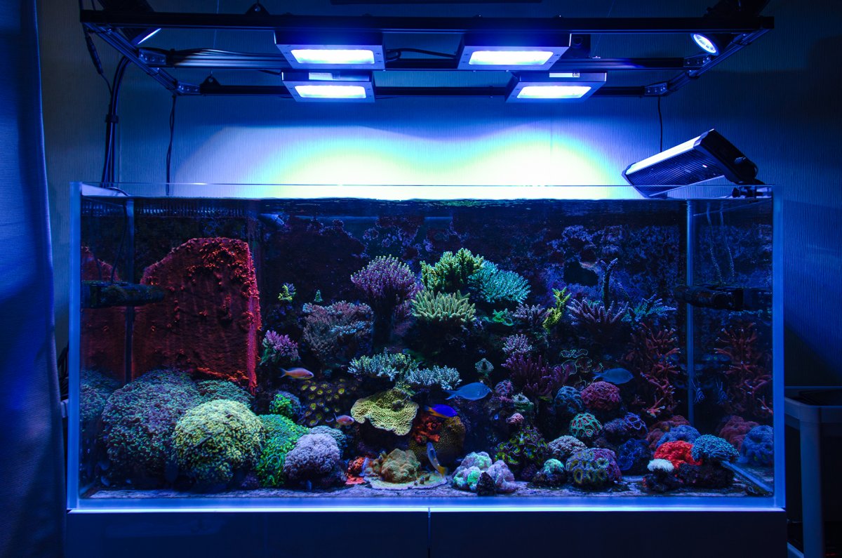 FTS-1.jpg