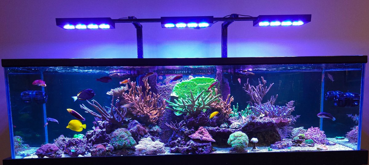 FTS (1 of 1).jpg