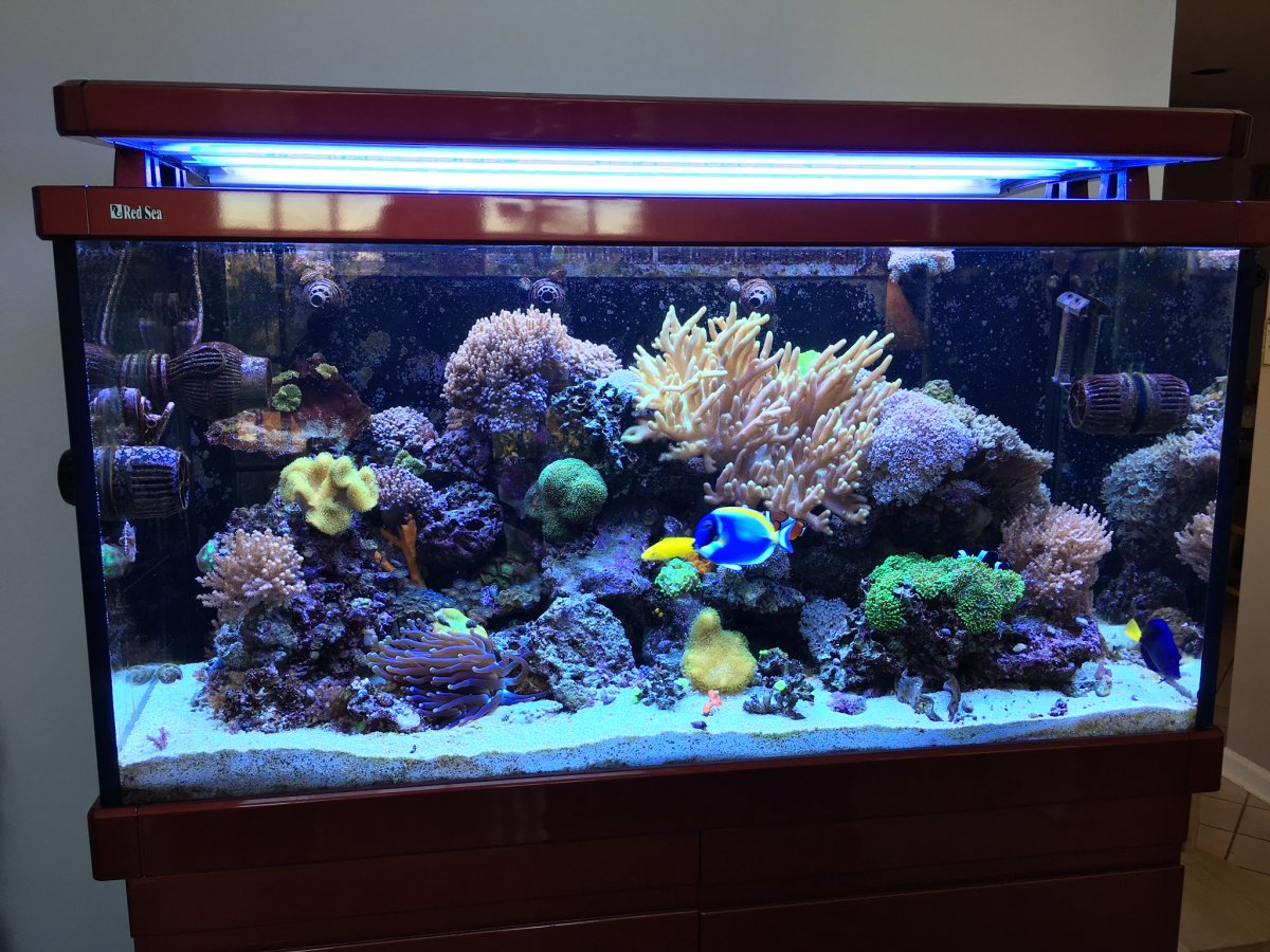 FTS 10-10-16.jpg