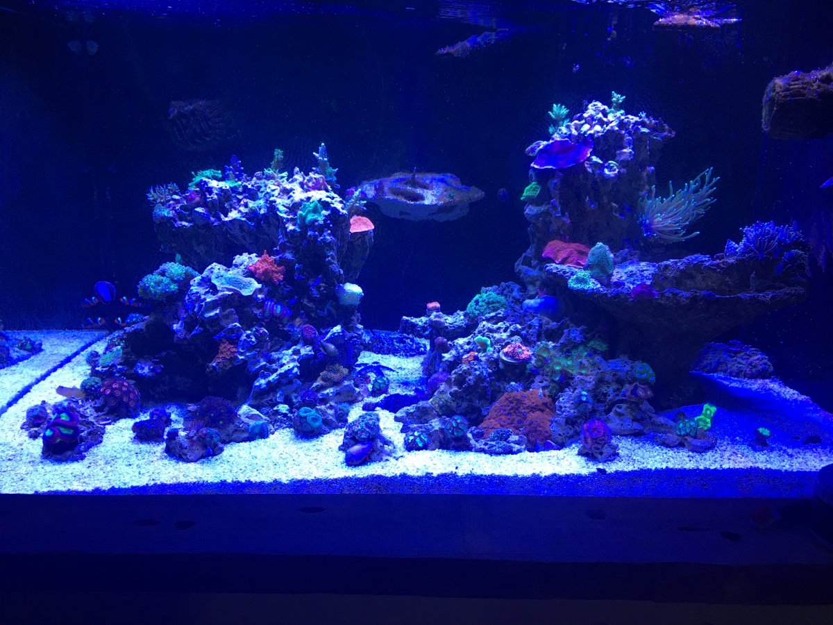 FTS 11.11.2018.jpg