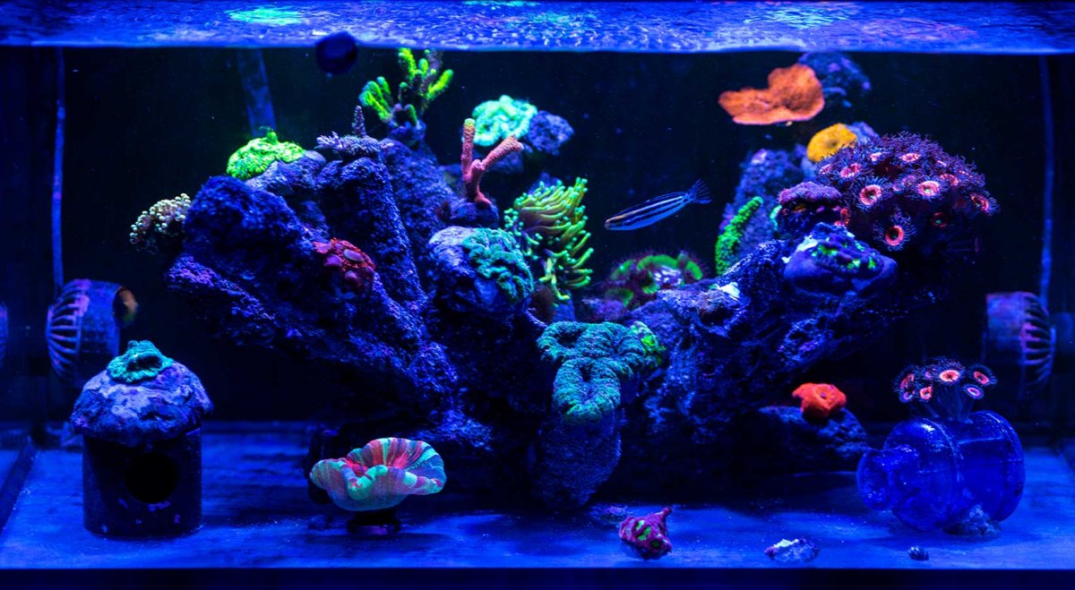 FTS-11-27-20.jpg