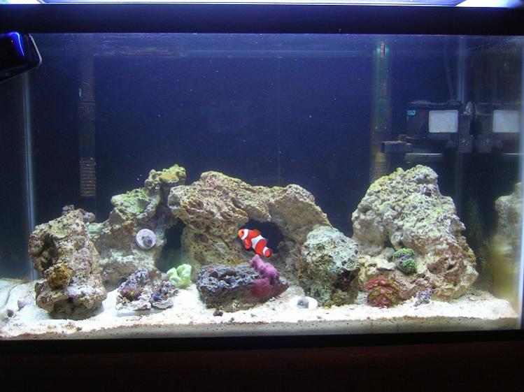 FTS 2-21-14.jpg