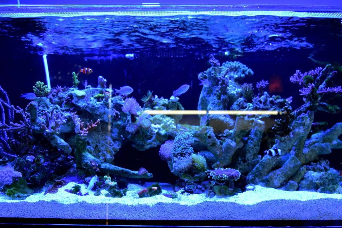 fts (2).jpg