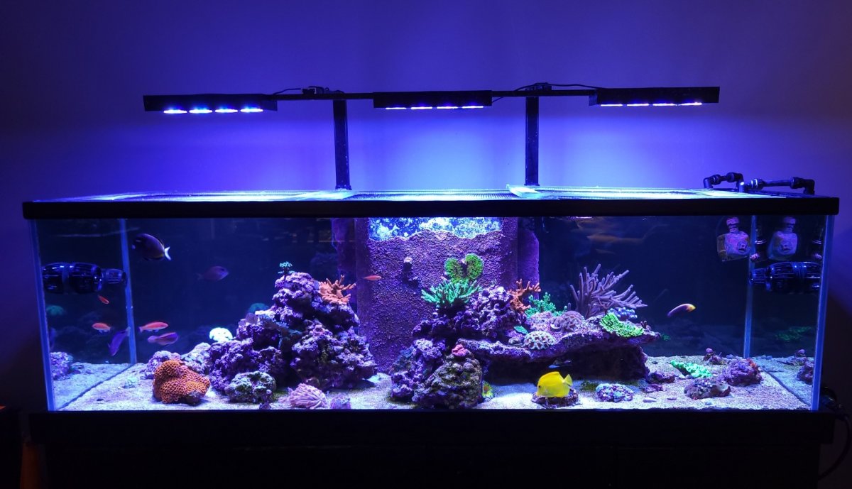 FTS 21-10-1.jpg