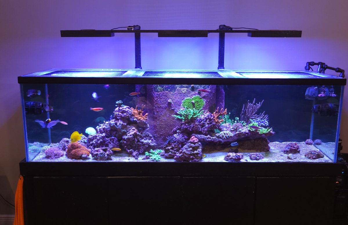 FTS 21-12-17.jpg