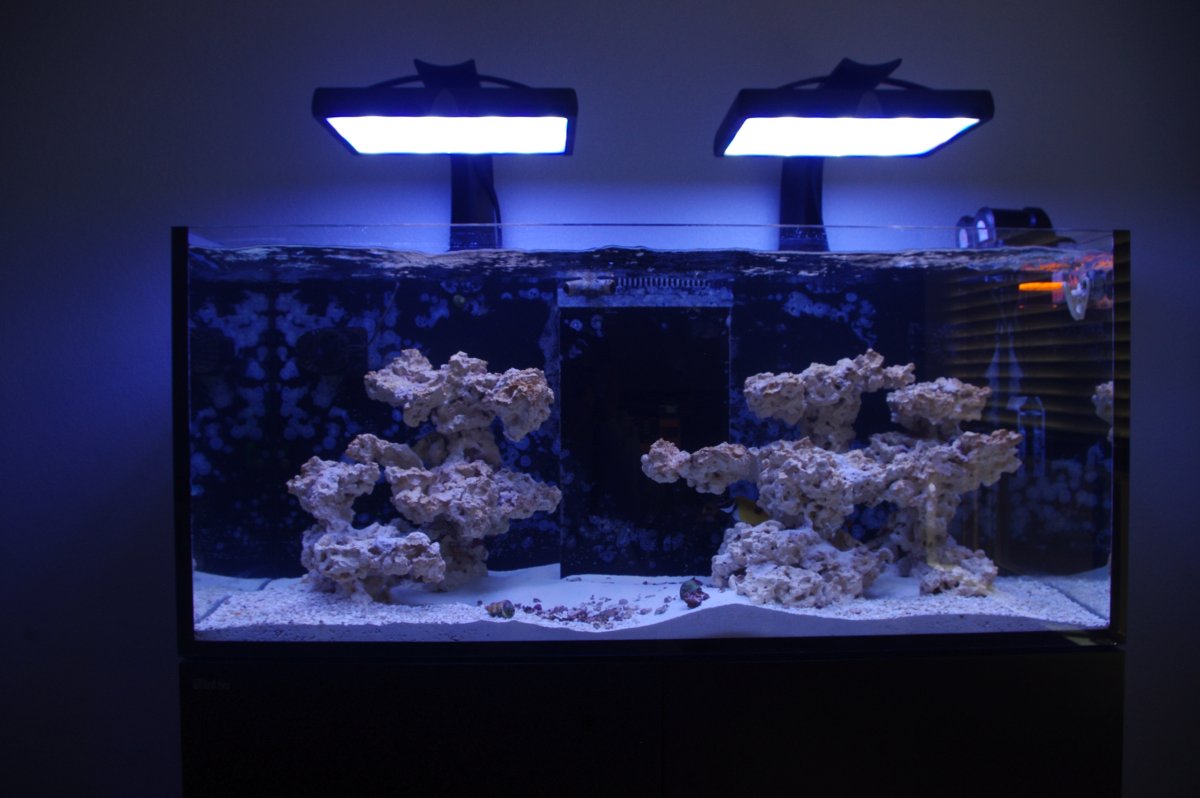 FTS-3-16-24.JPG