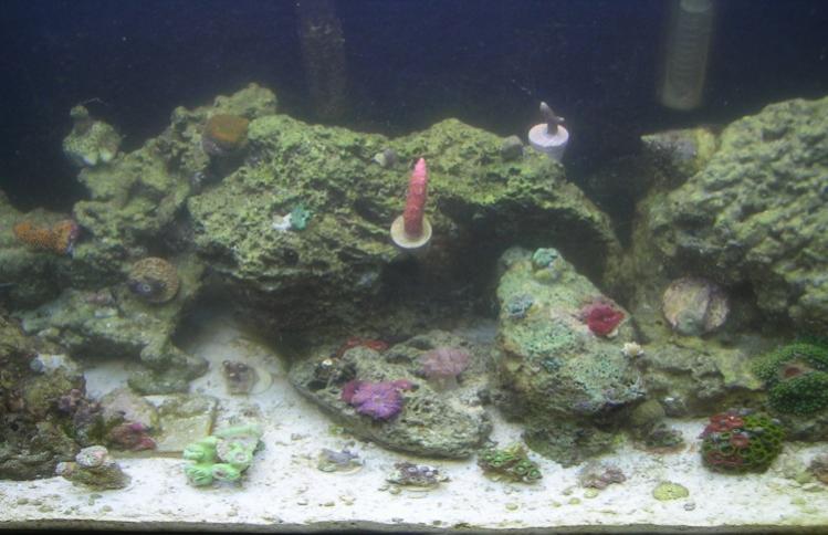 fts 5-3-14.jpg