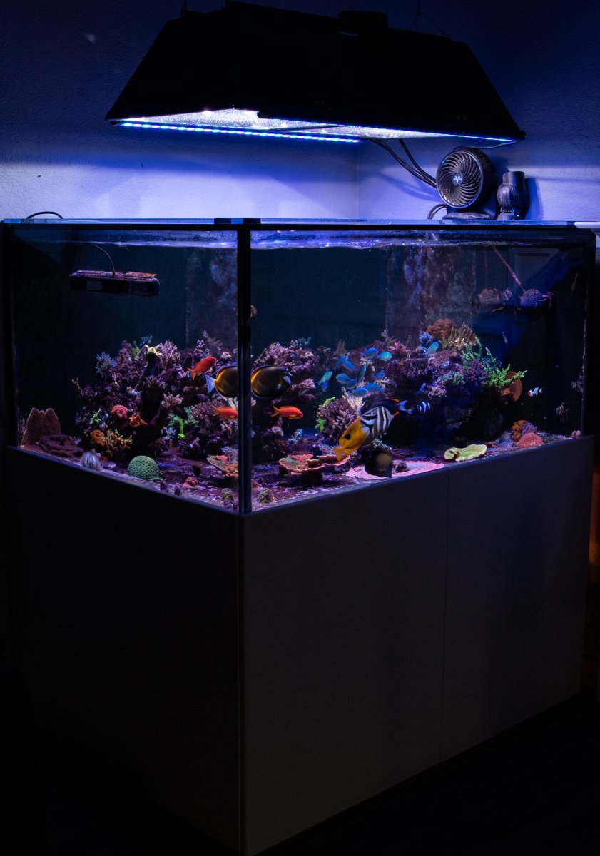 FTS-5.jpg