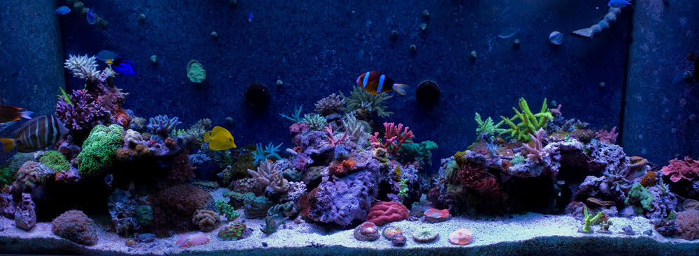 fts 5 march 2011.jpg