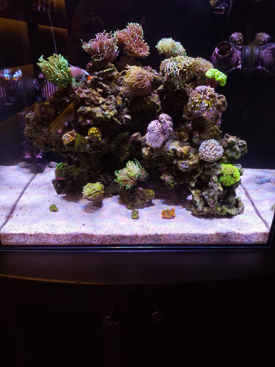 FTS Close Up.jpg