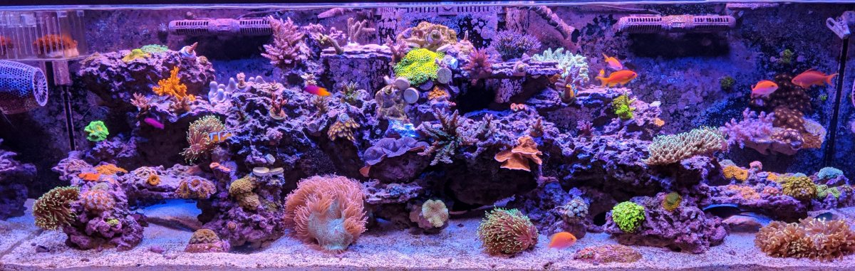 fts crop.jpg