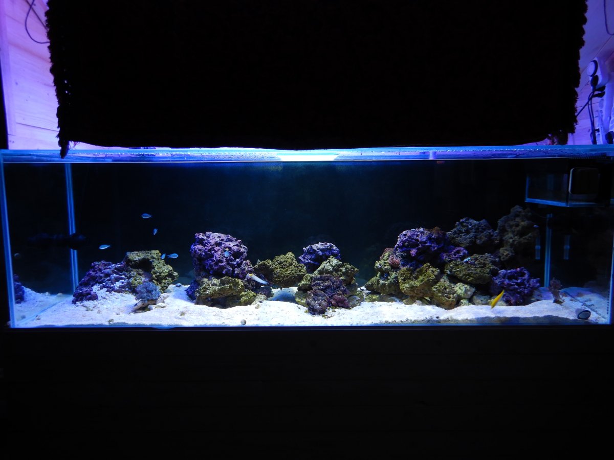 FTS Daylight.JPG