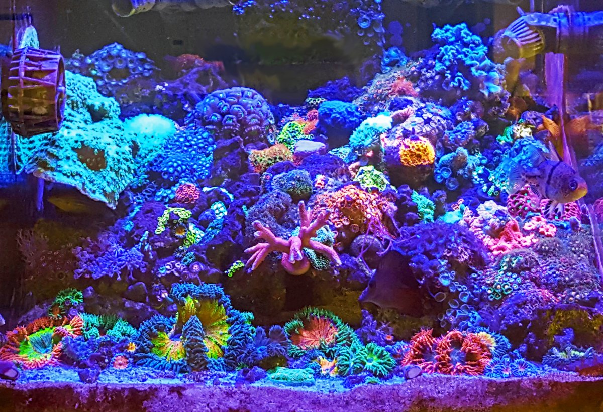 FTS June 2019 R1 19x13.jpg