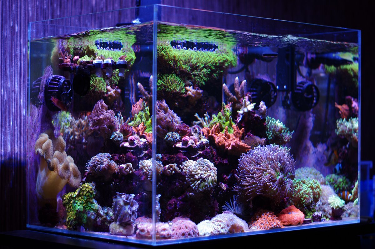 FTS Left 2021-01-06 Cropped.jpg