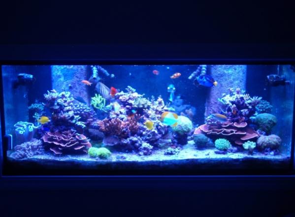 FTS Oct 2014.jpg