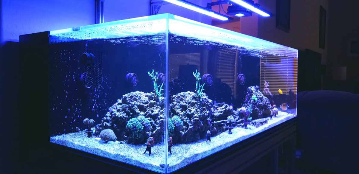 FTS-R_20240227.jpg