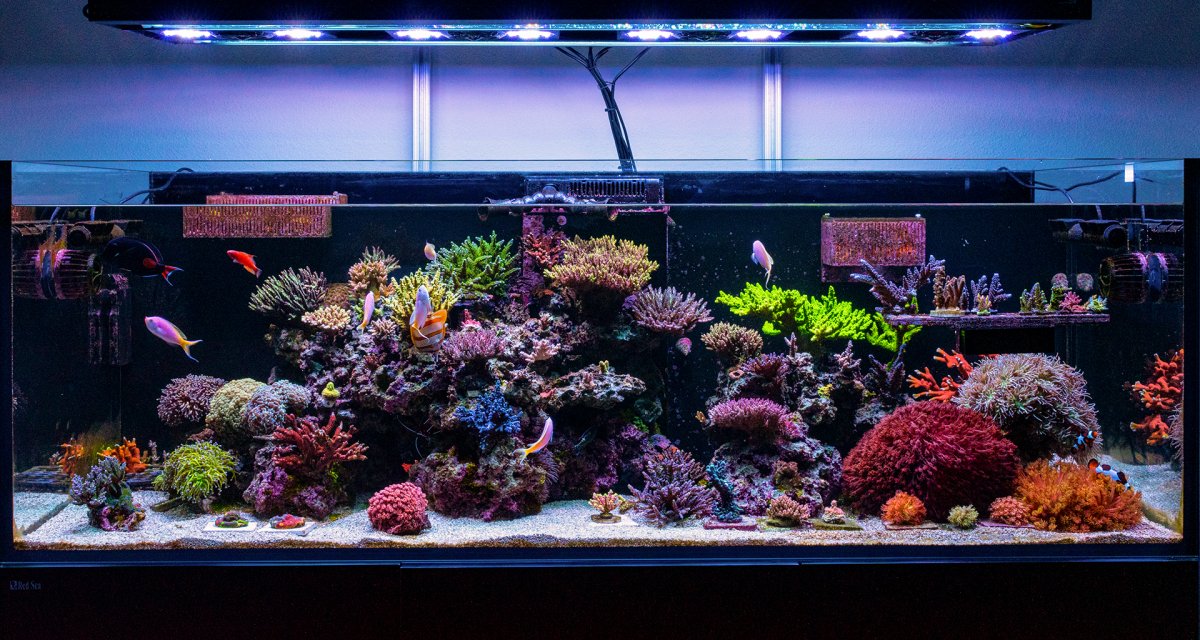 FTS Reduced - 10.28.2020.jpg