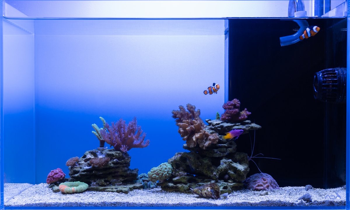 FTS Reduced.jpg