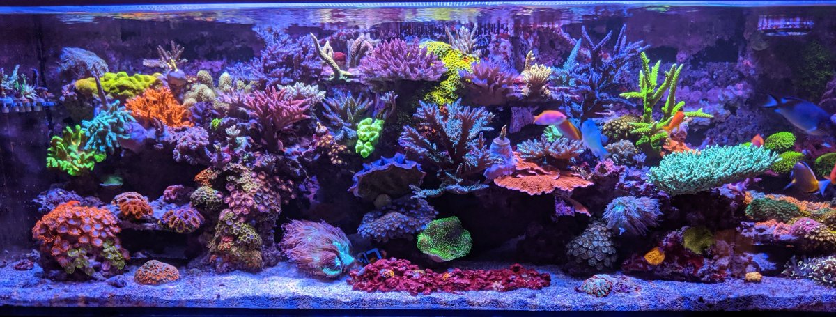 FTS Sep 19.jpg