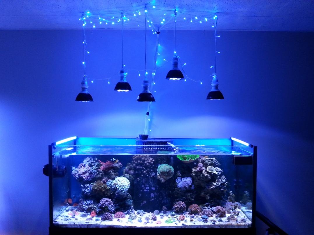 FTS w Lights.jpg