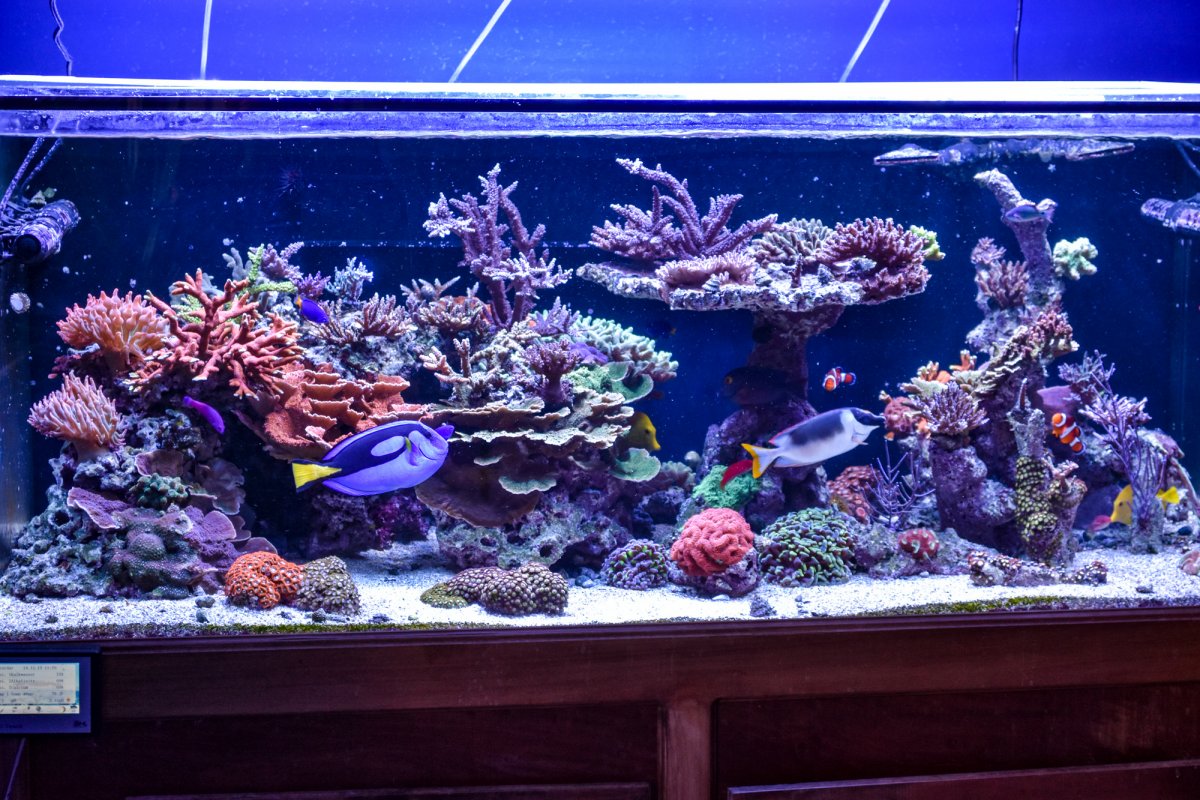 FTS1.jpg