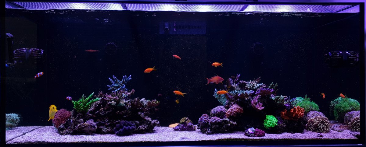 FTS1.jpg