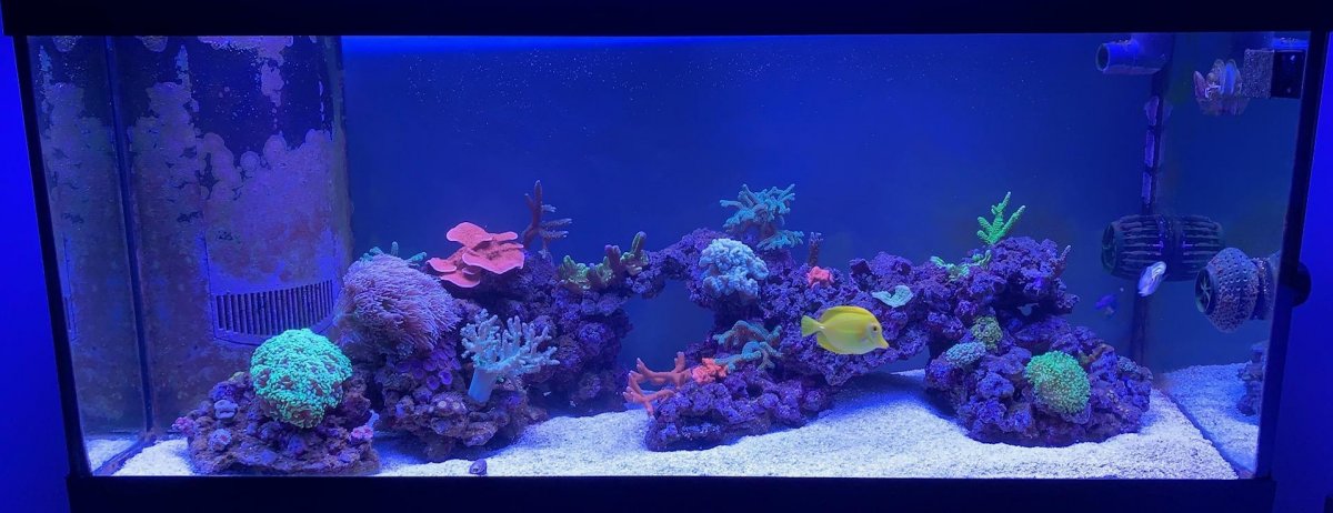 FTS12-16-19.jpg