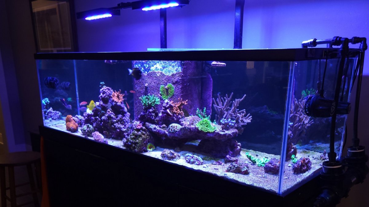 FTS2 21-10-1.jpg