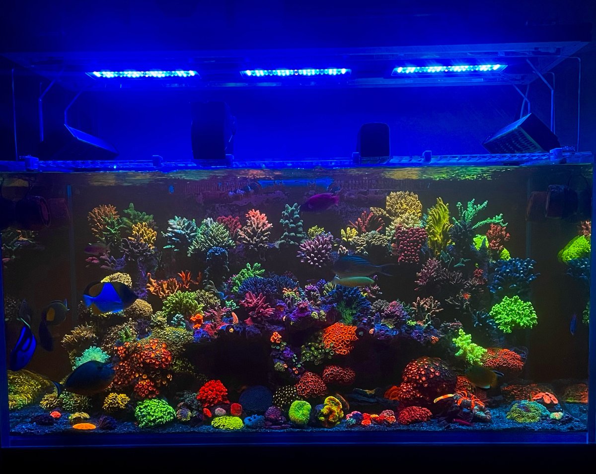 fts3.jpg