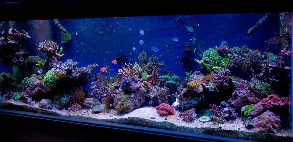 fts3.jpg