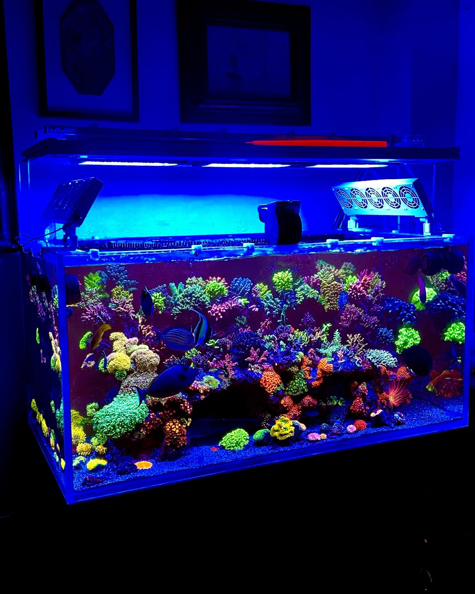 fts4.jpg