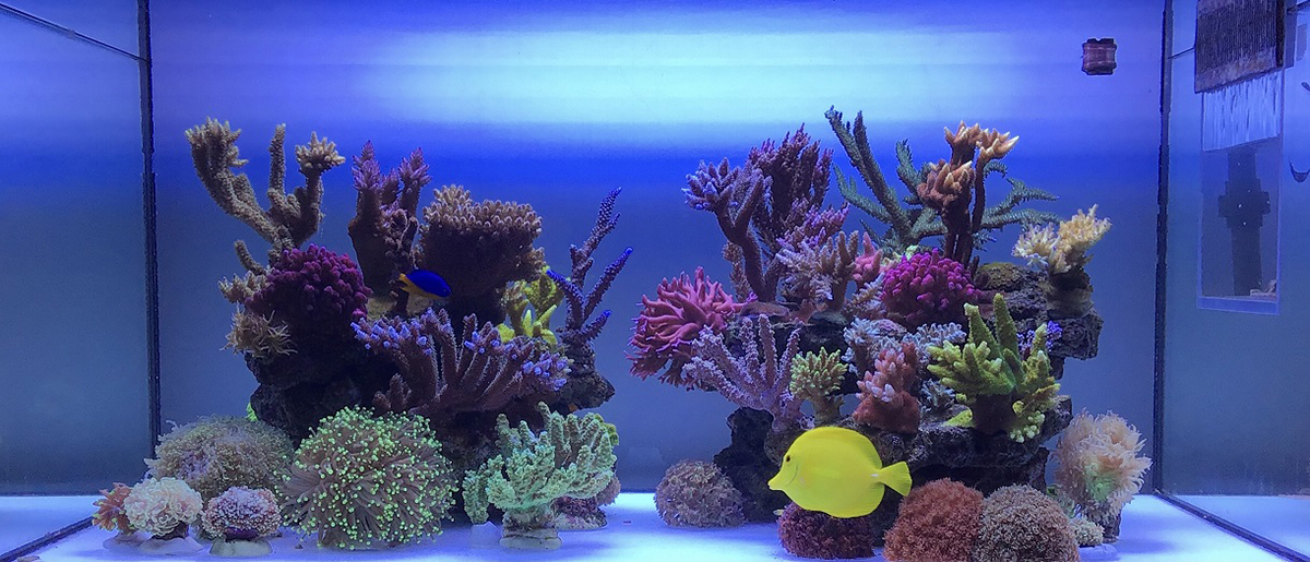 FTS5.JPG