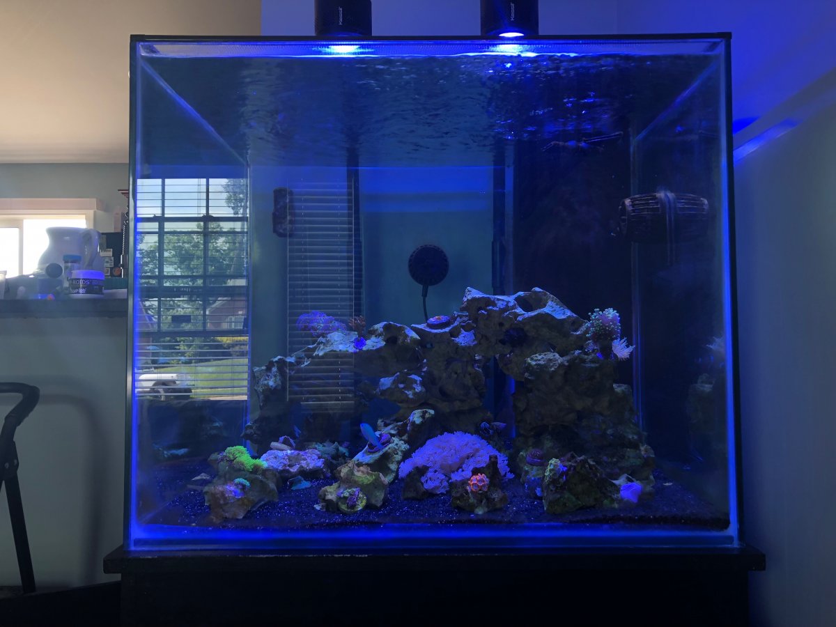 FTS8-24.jpg