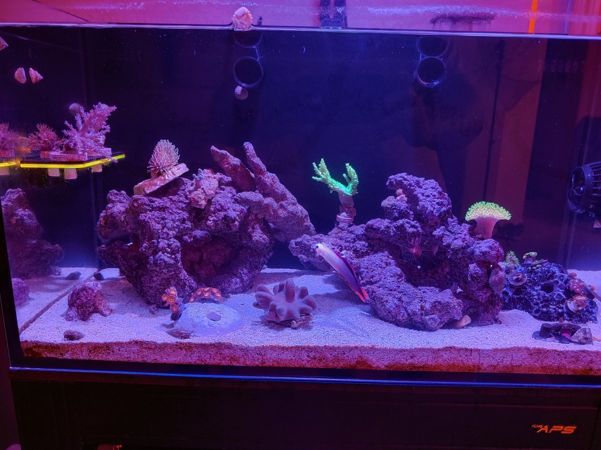 FTS_0621.jpg