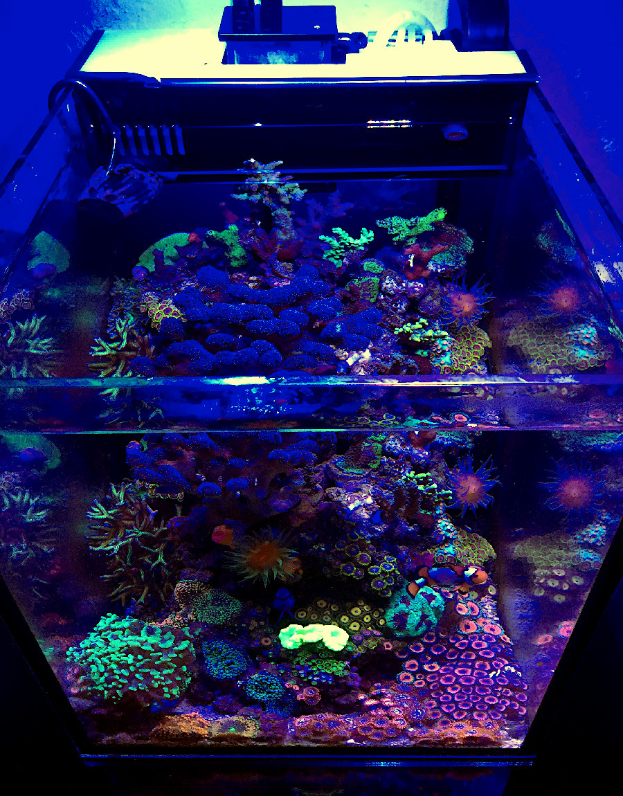 fts_2-12-19.jpg