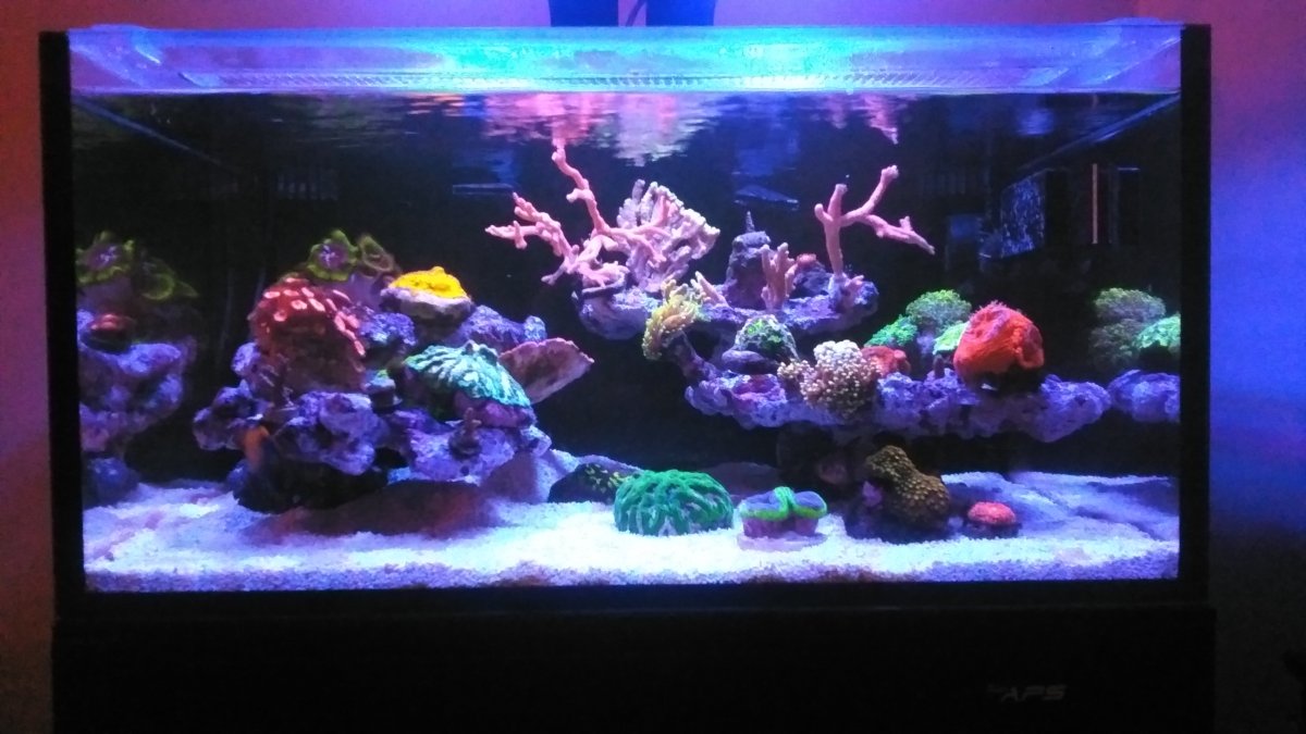 FTS_3-2-22.jpg