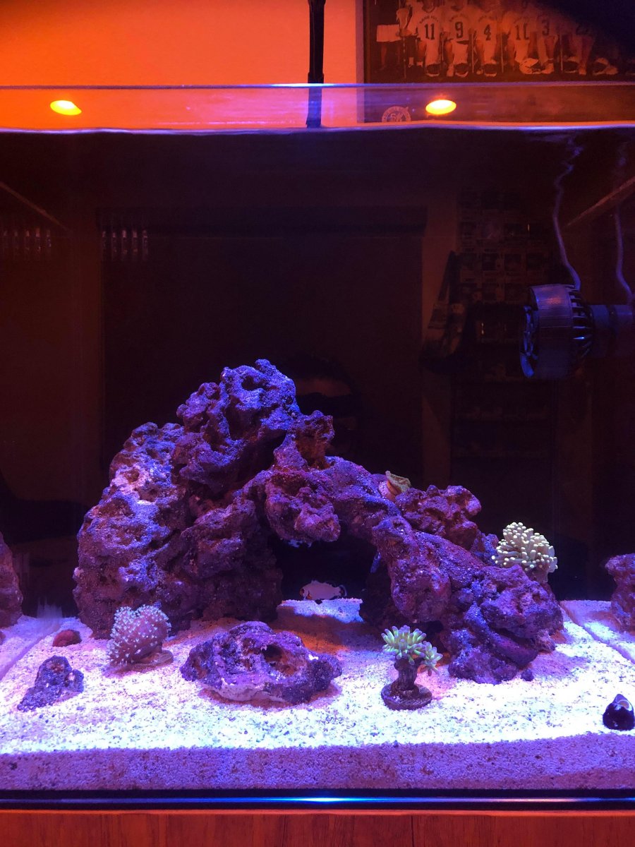 full tank pic 1.jpg