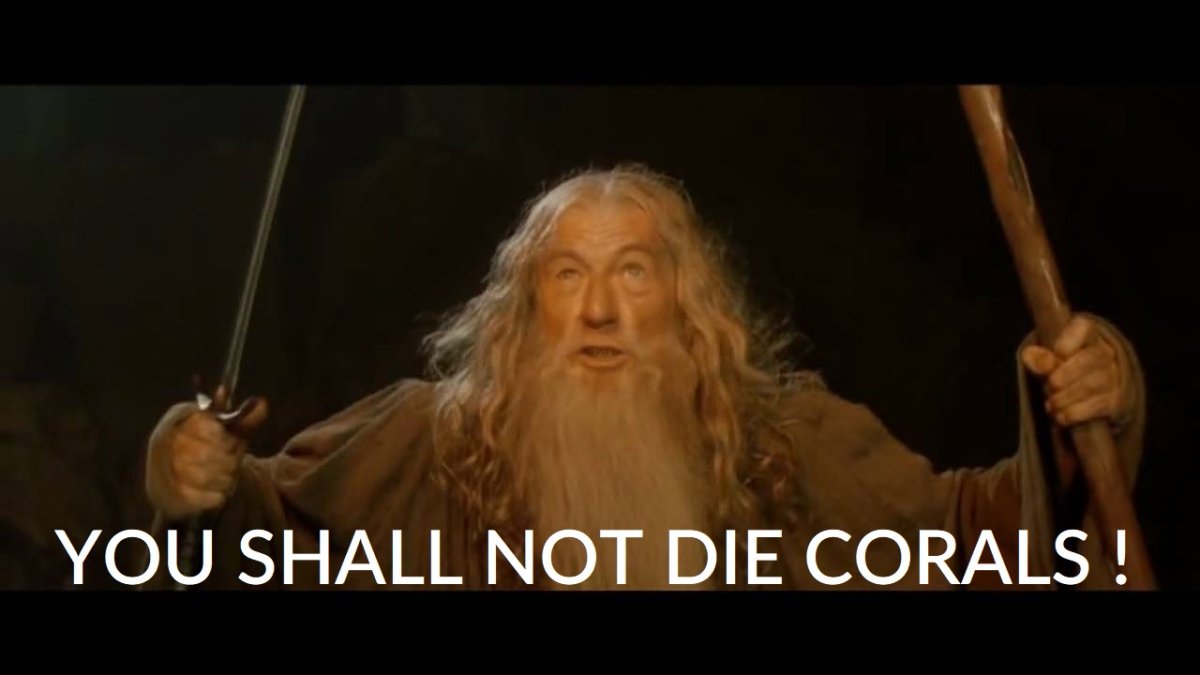 Gandalf---you-shall-not-pass-meme-8.jpg