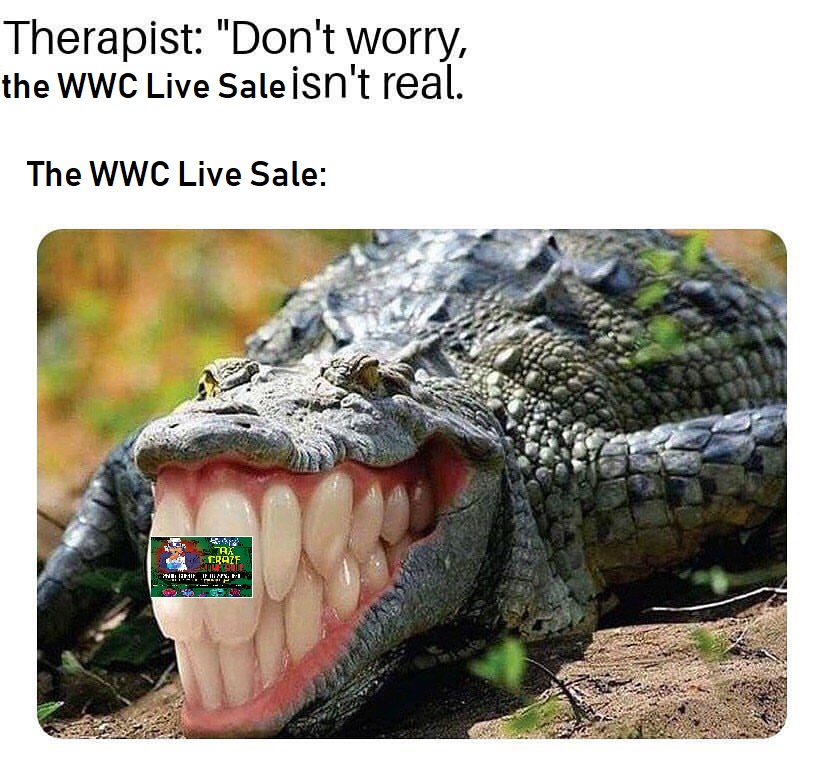 GATOR.jpg